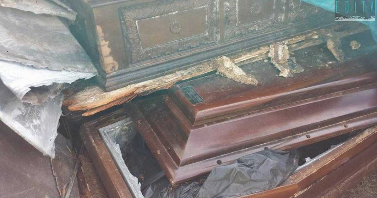 Mola di Bari, in un campo incolto la discarica di bare e lapidi: foto e video